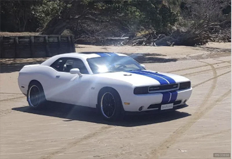 2011 Dodge Challenger in Hamilton