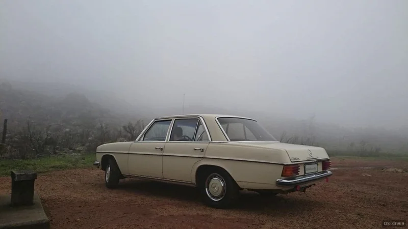 1973 Mercedes-Benz 230 in Wellington 2
