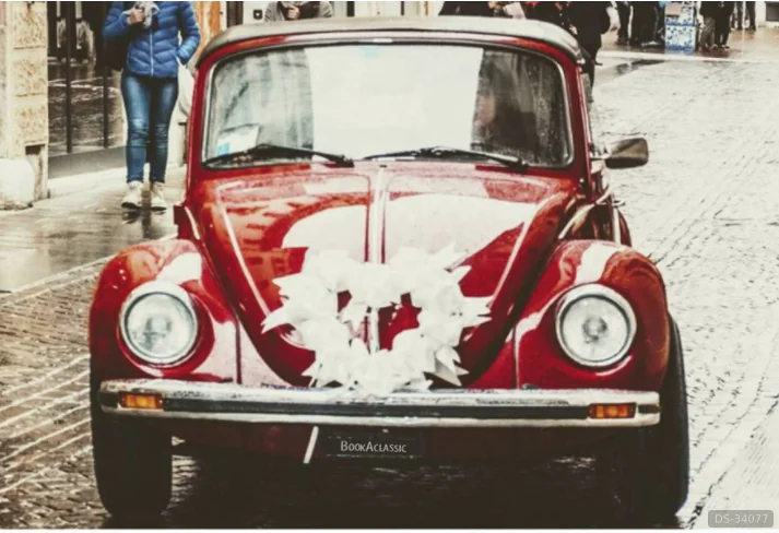 1975 Volkswagen Maggiolone
