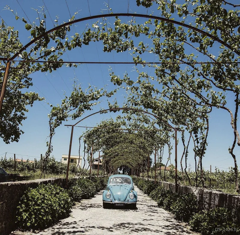 1968 Volkswagen Carocha in Marco De Canaveses 2
