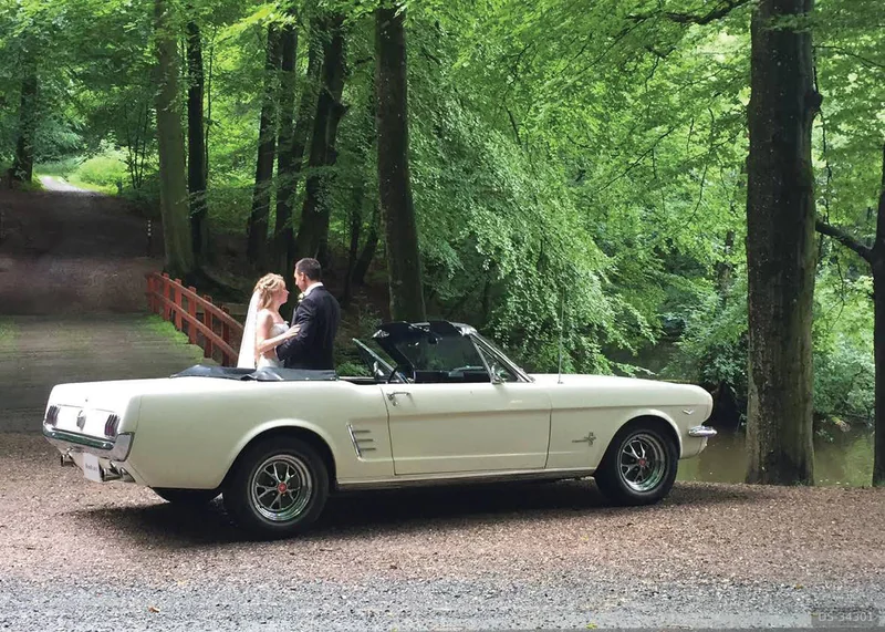 1965 Ford Mustang in Oxford 4