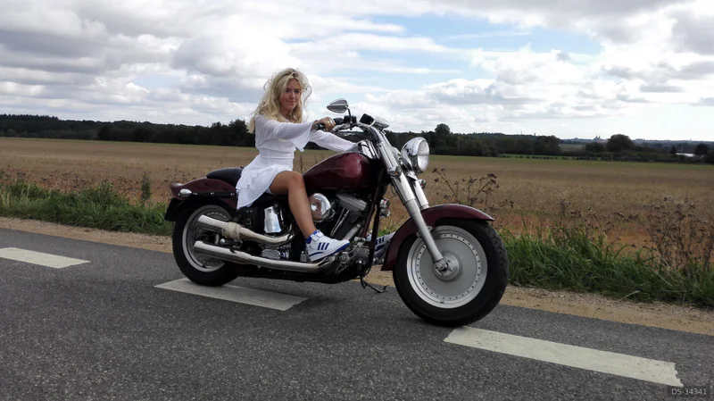 2006 Harley-Davidson Softail Nightrain eller Softail Custom in Brøndby Strand 3