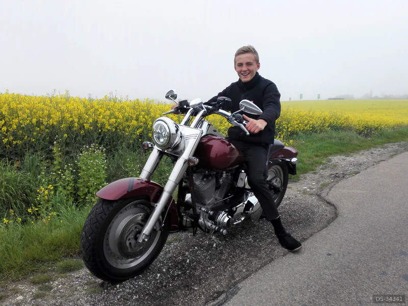 2006 Harley-Davidson Softail Nightrain eller Softail Custom in Brøndby Strand 9