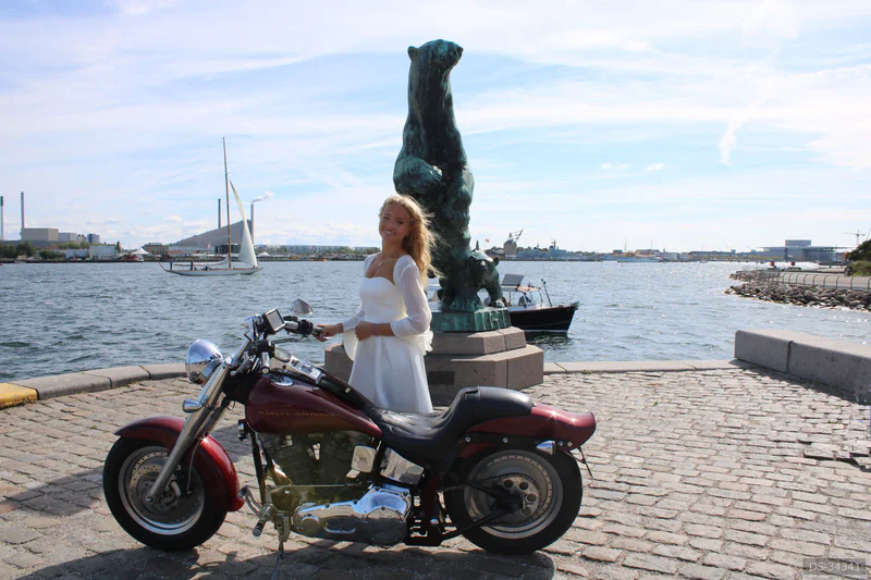 2006 Harley-Davidson Softail Nightrain eller Softail Custom in Brøndby Strand 5