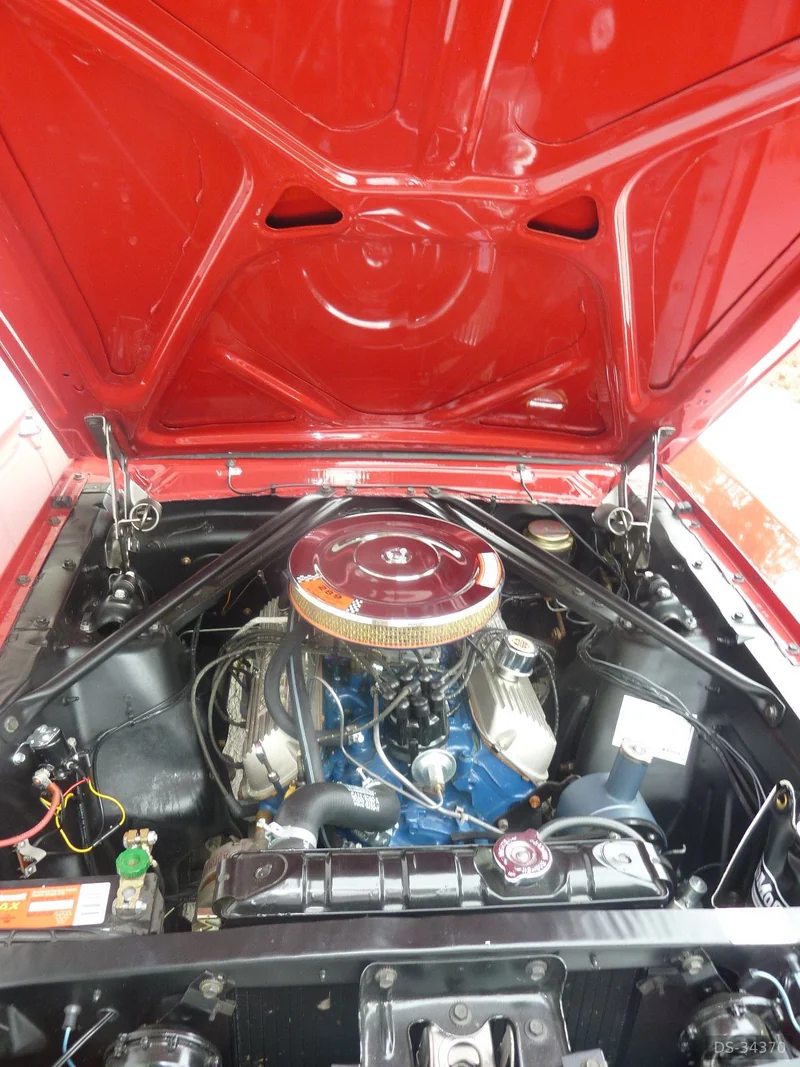 1966 Ford Mustang GT in Stockholm 4