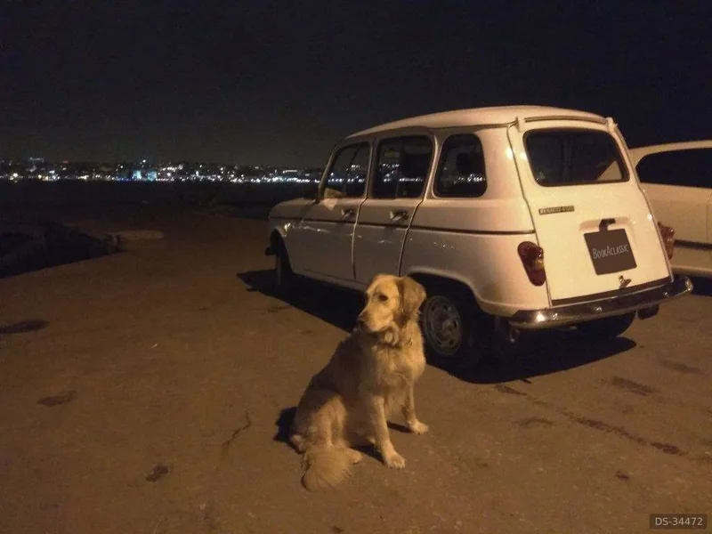 1987 Renault 4l in Corroios 7