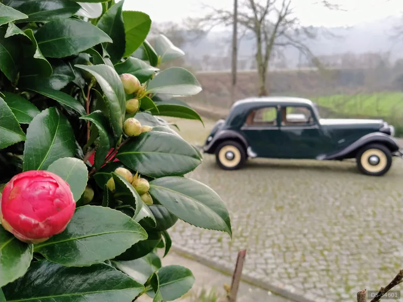 1947 Citroen 11bl in Vila Meã, Amarante 8