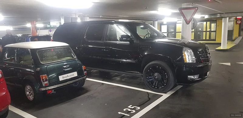 2010 Cadillac Escalade in Uznach 5