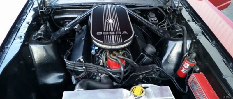 1965 Ford Mustang in Maurage 10