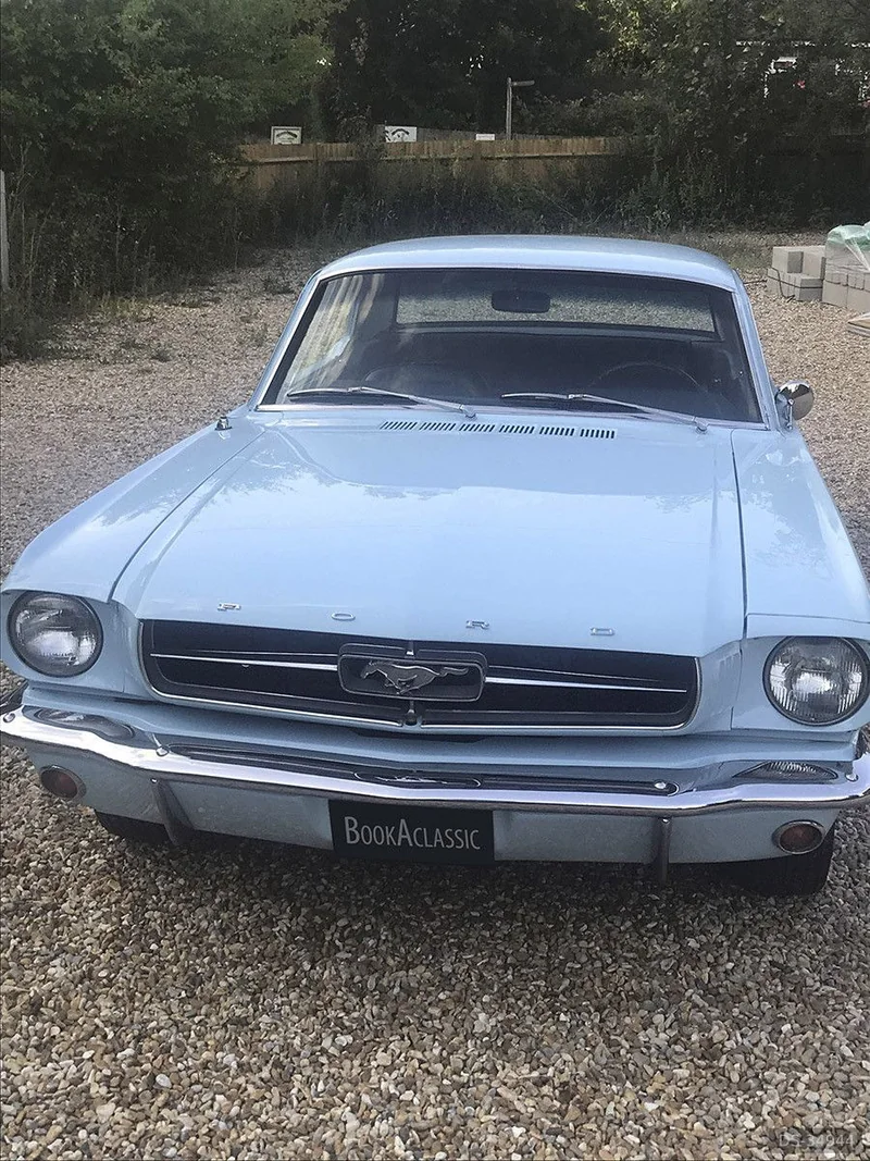 1964 Ford Mustang in Brighton
