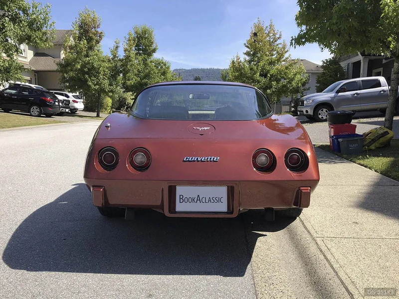 1979 Chevrolet Corvette in Maple Ridge 4