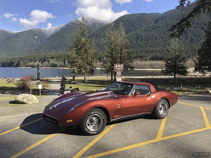 1979 Chevrolet Corvette in Maple Ridge 7