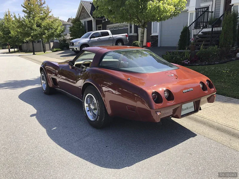 1979 Chevrolet Corvette in Maple Ridge 2