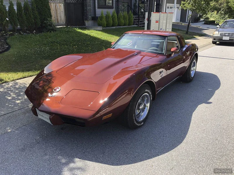 1979 Chevrolet Corvette in Maple Ridge