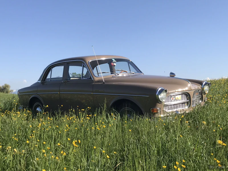 1962 Volvo Amazon 122 in Gossau Zh 4