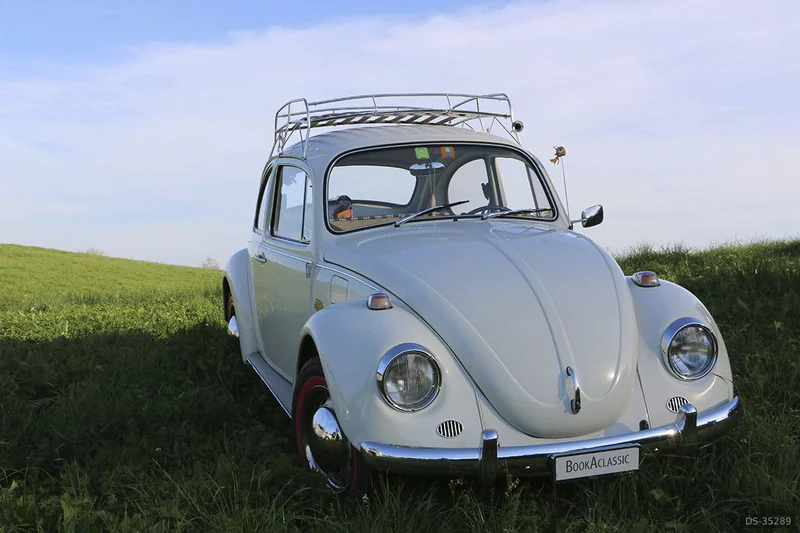 1971 Volkswagen Käfer in Gossau Zh 2