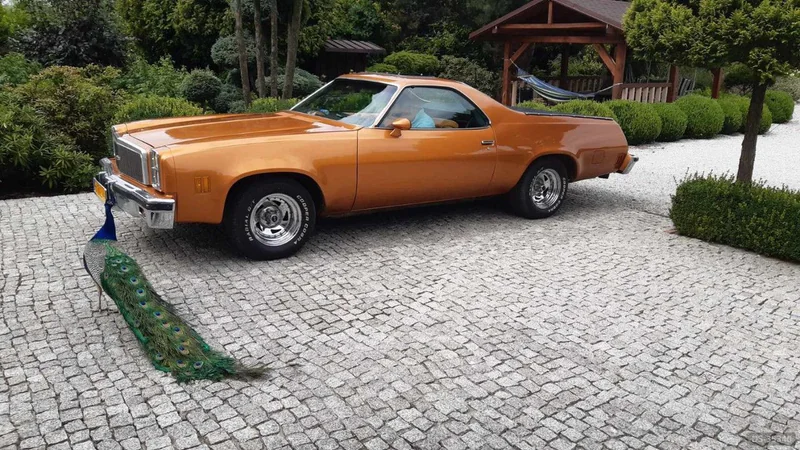 1977 Chevrolet El Camino in Kalisz 9