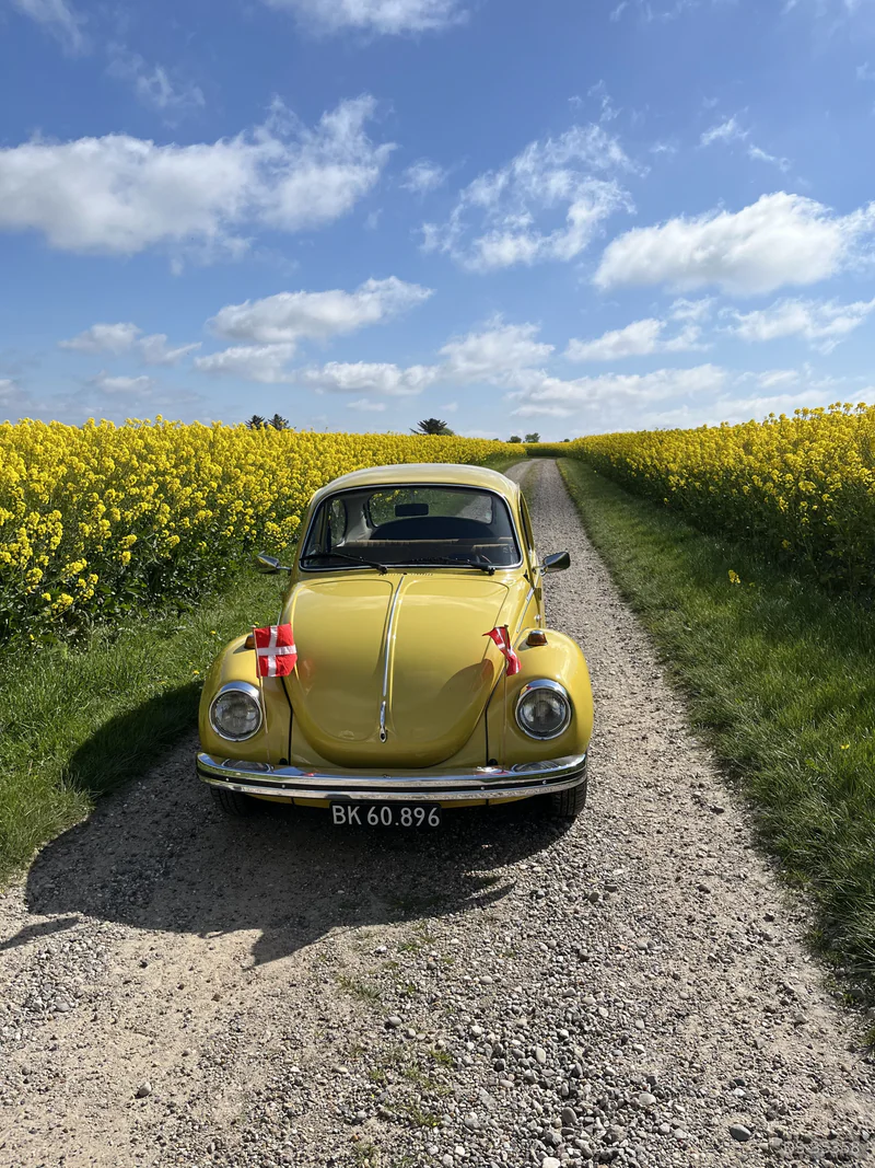 1973 Volkswagen 1303 in Sørvad 9