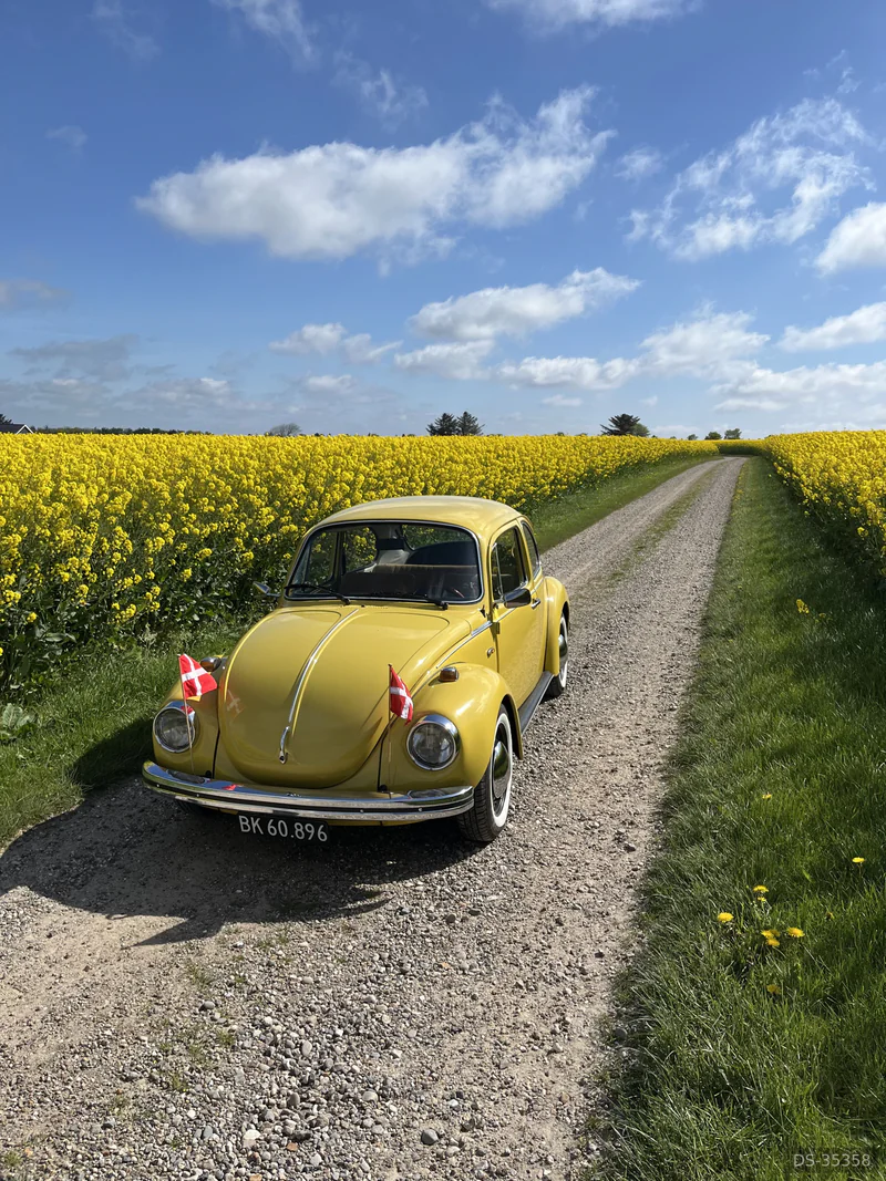 1973 Volkswagen 1303 in Sørvad 3