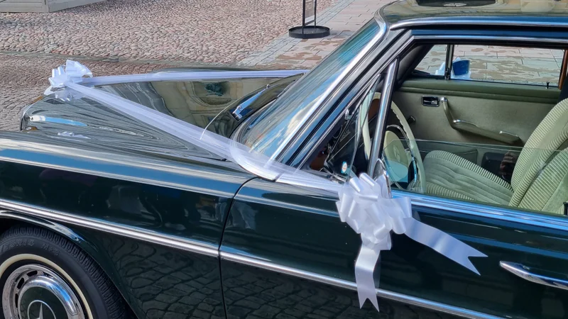 1972 Mercedes-Benz 280 SE in Stockholm 10