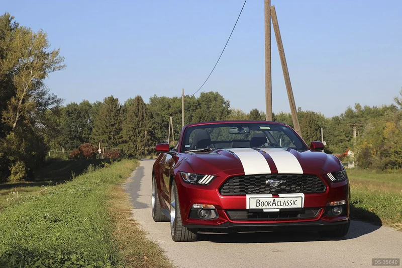 2015 Ford Mustang in Bratislava 2