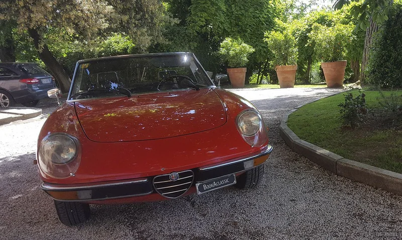 1979 Alfa Romeo Spider 2000 Veloce in Roma 7