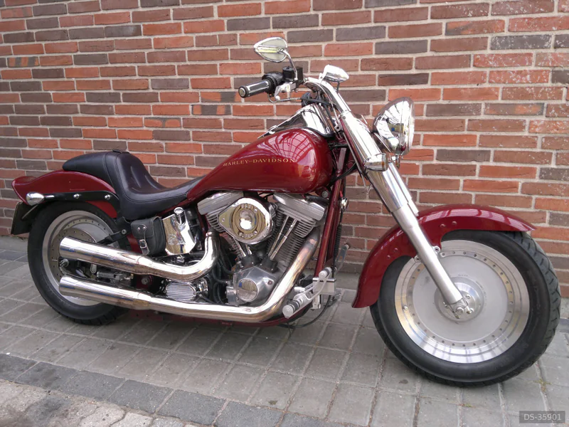 2006 Harley-Davidson Softail Custom eller Softail Nightrain in Brøndby Strand