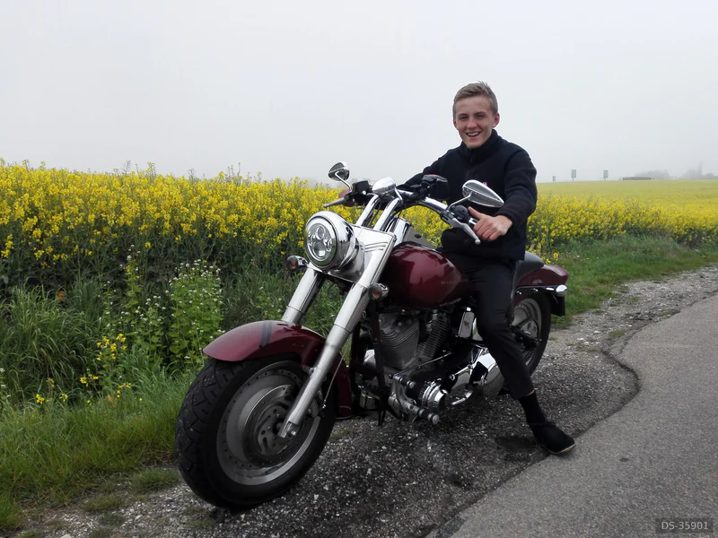 2006 Harley-Davidson Softail Custom eller Softail Nightrain in Brøndby Strand 6