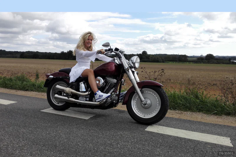 2006 Harley-Davidson Softail Custom eller Softail Nightrain in Brøndby Strand 10