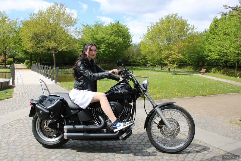2006 Harley-Davidson Softail Custom eller Softail Nightrain in Brøndby Strand 3