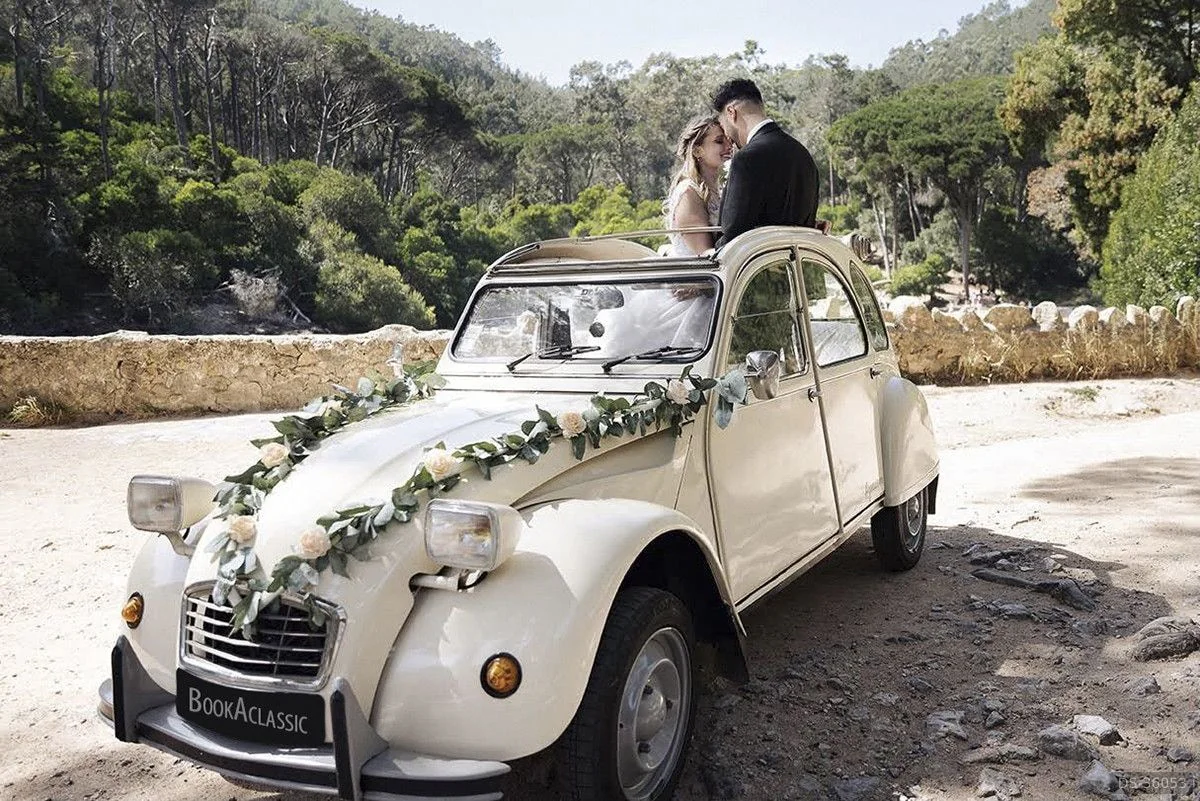 1986 Citroen 2cv