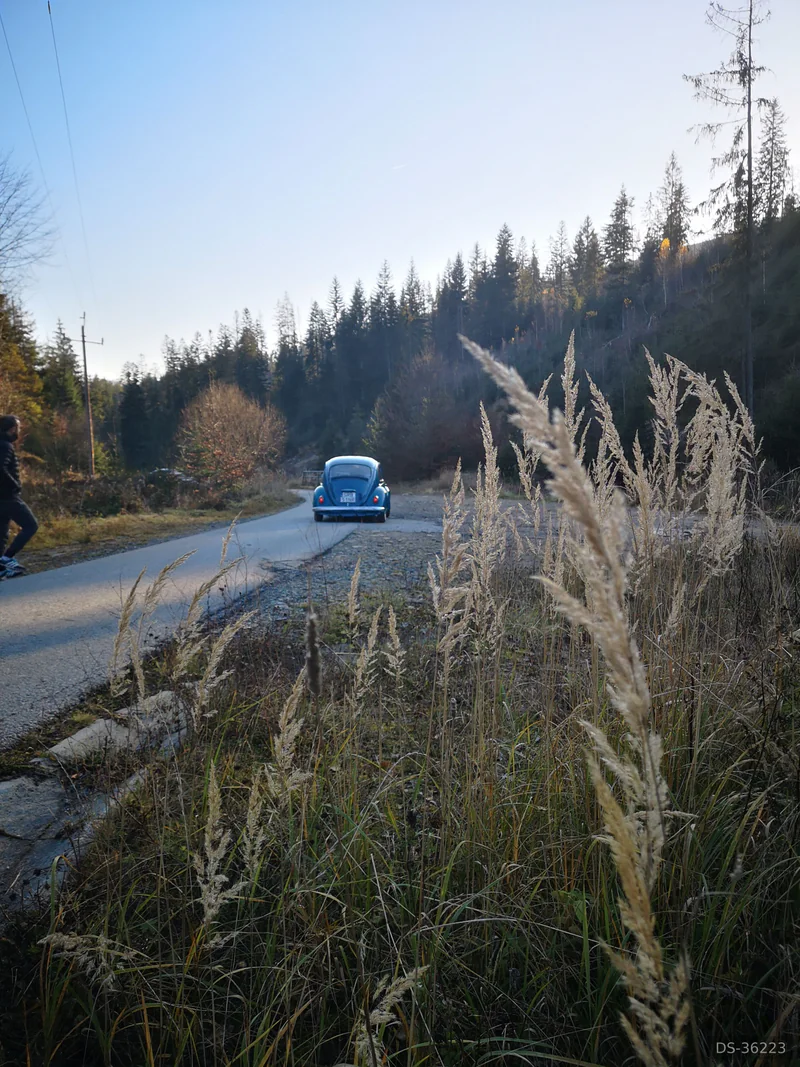 1969 Volkswagen Beetle in Kamesznica 4