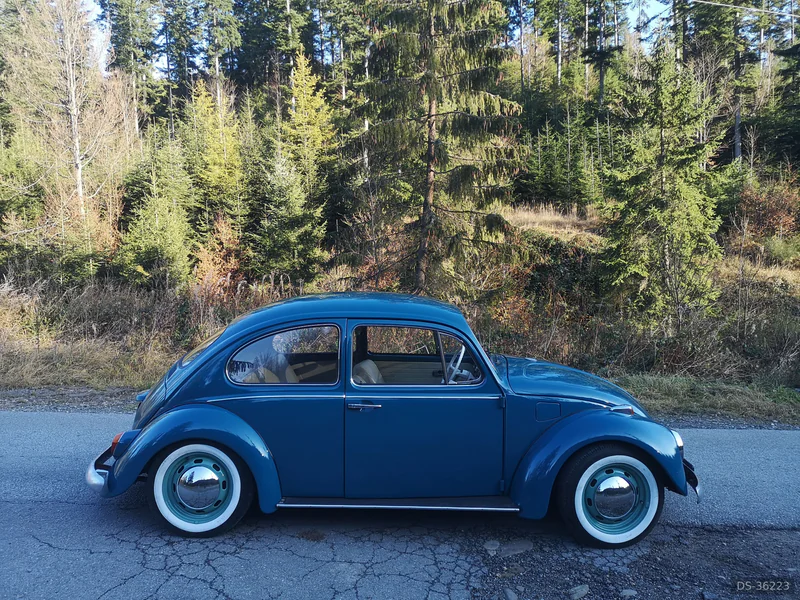 1969 Volkswagen Beetle in Kamesznica 6