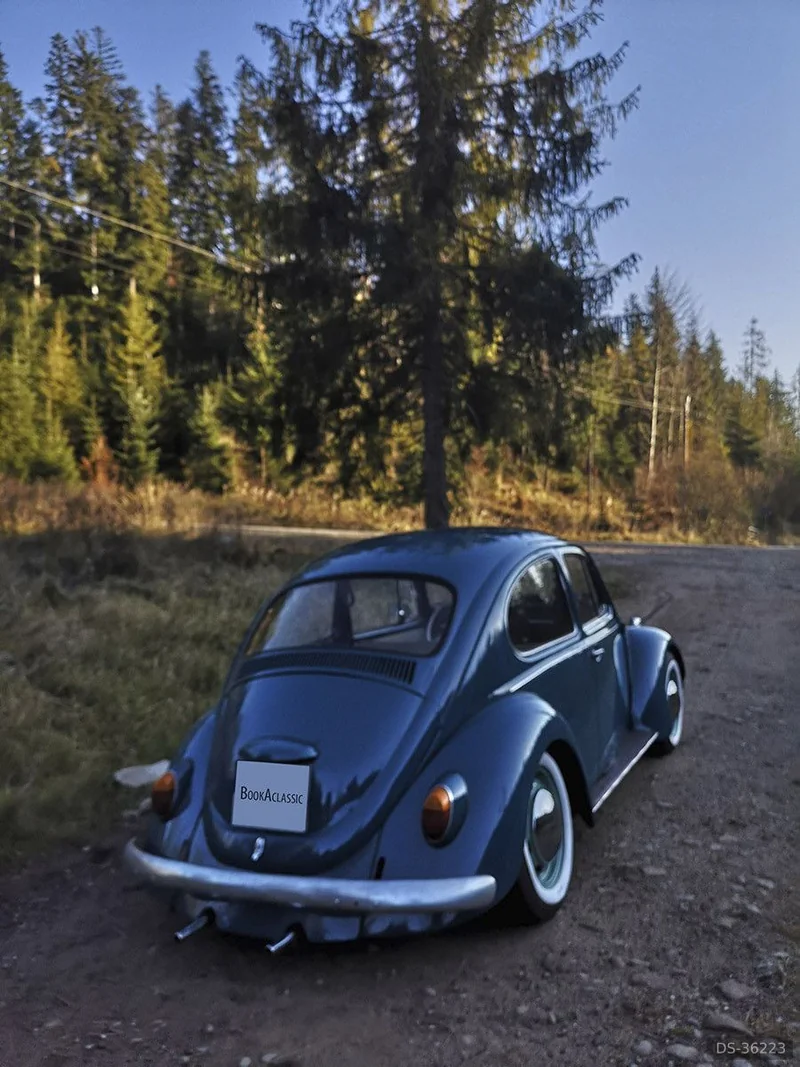 1969 Volkswagen Beetle in Kamesznica 7