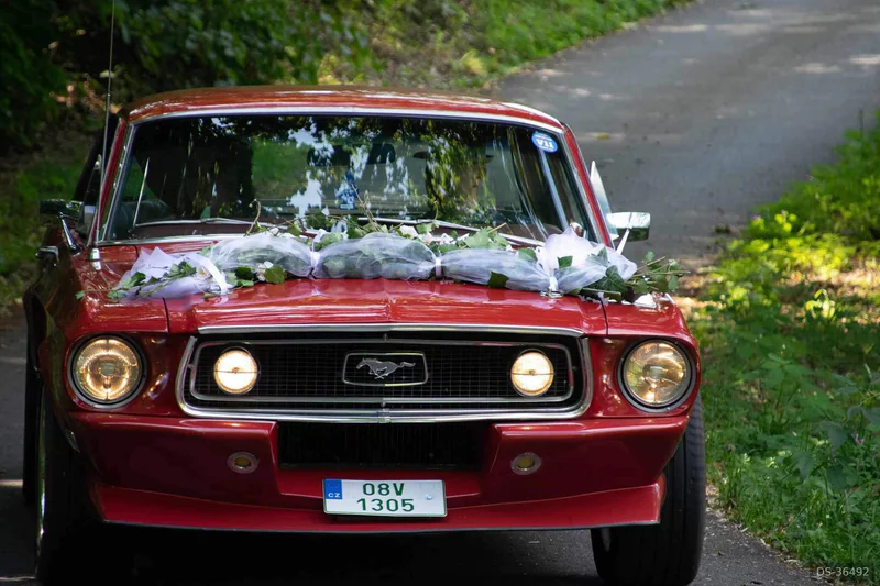 1968 Ford Mustang in česká Lípa 7
