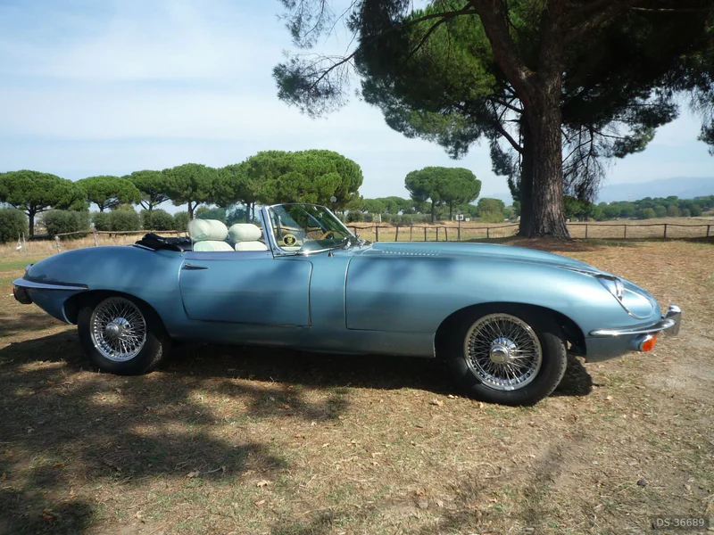 1969 Jaguar E Type Spider in Roma 6