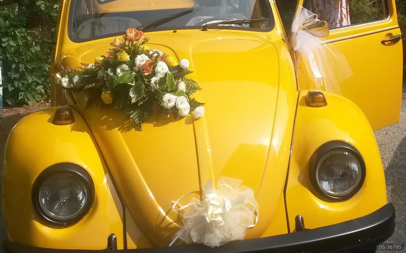 1974 Volkswagen Maggiolino in Torino 2