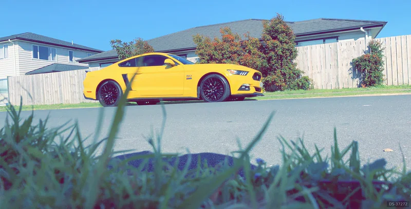 2017 Ford Mustang in Auckland 4