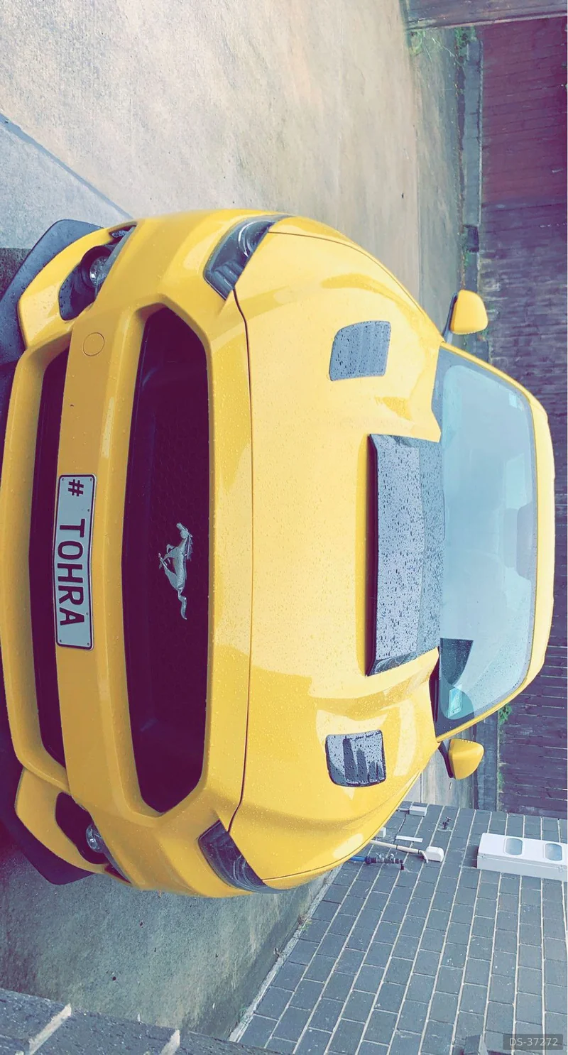 2017 Ford Mustang in Auckland 5