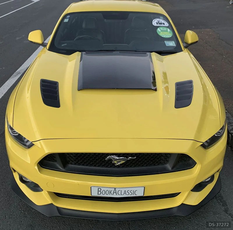 2017 Ford Mustang in Auckland 7