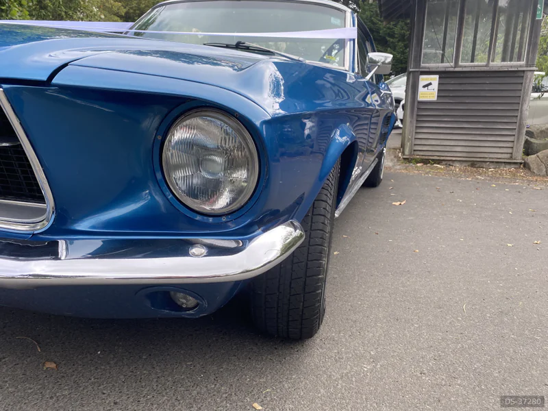 1967 Ford Mustang in Dunedin 2