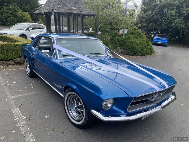 1967 Ford Mustang in Dunedin 3