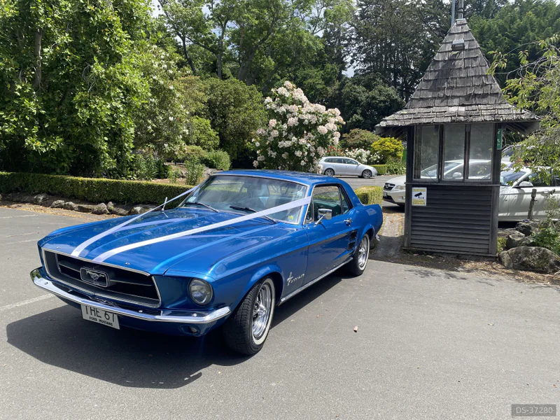 1967 Ford Mustang in Dunedin 4