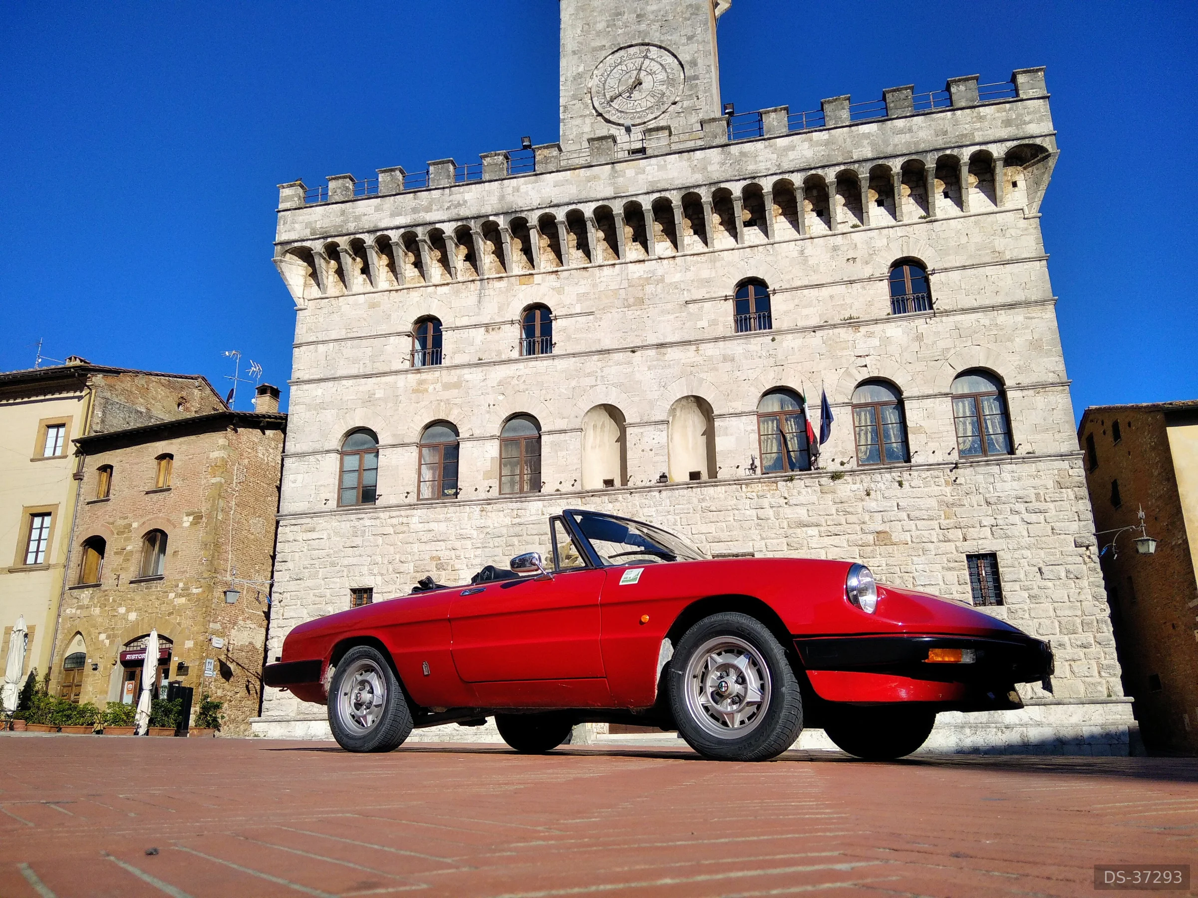 1983 Alfa Romeo Spider