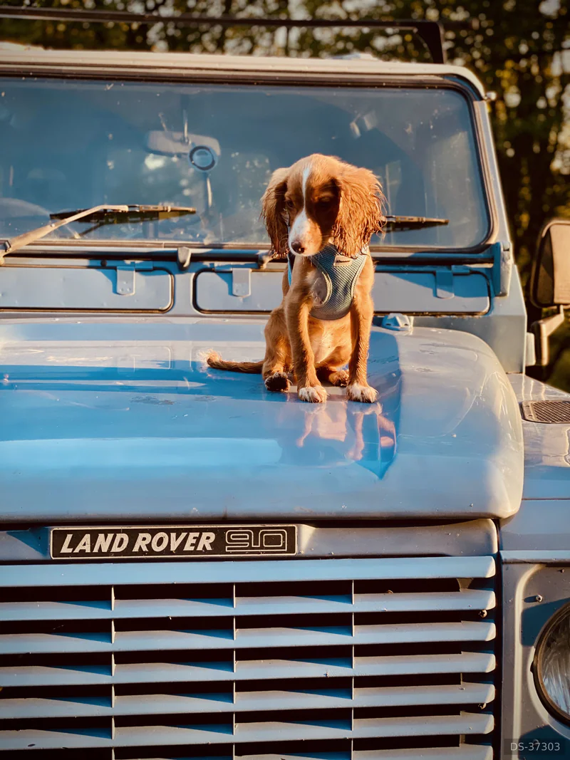 1988 Land Rover Defender in London 3
