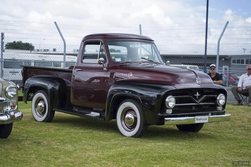 1955 Ford F100 in Mount Maunganui