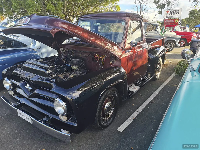1955 Ford F100 in Mount Maunganui 3