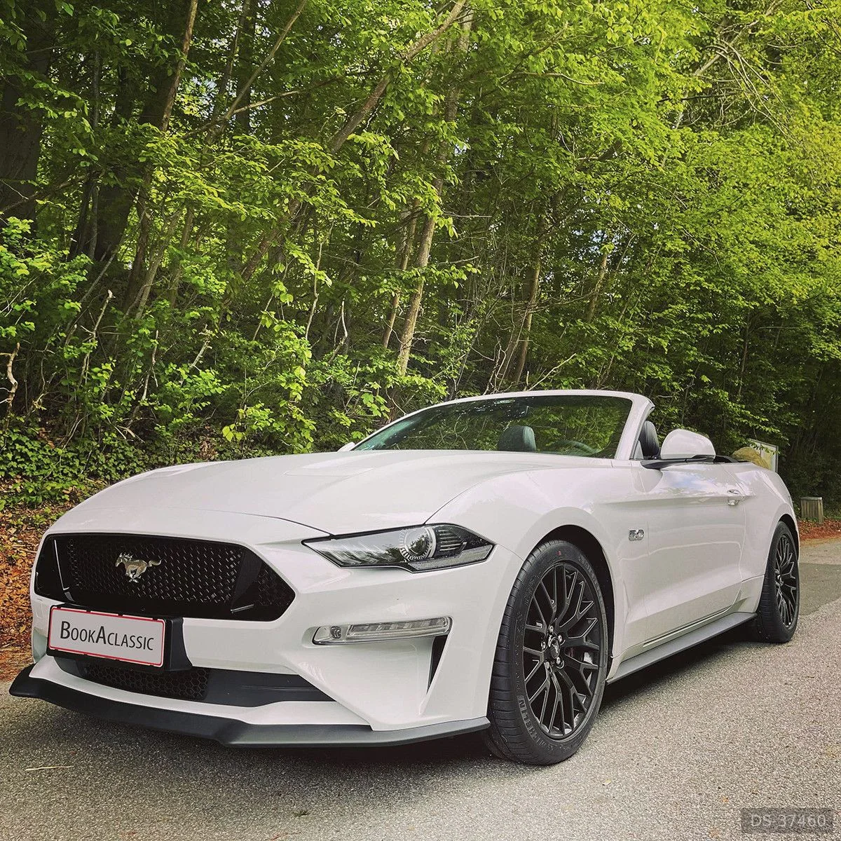 2021 Ford Mustang