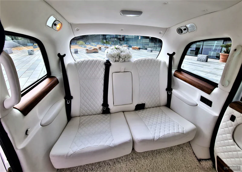 2005 London Taxi Limousine in London 6