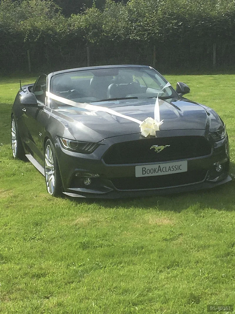 2017 Ford Mustang in Crediton 4